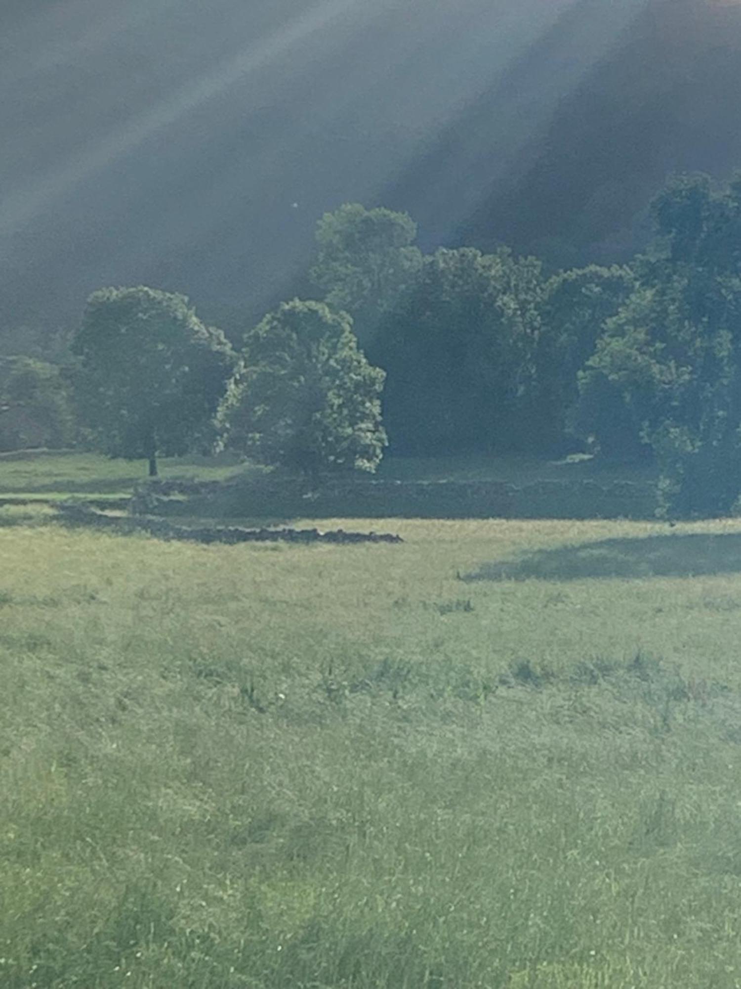 Remanso Del Rio Saja Villa Renedo De Cabuerniga Luaran gambar